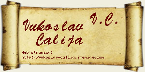 Vukoslav Čalija vizit kartica